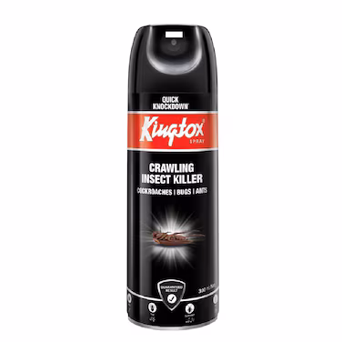 Kingtox Crawling Insect Killer Spray 400ml